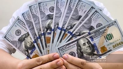 Tỷ giá ngoại tệ, tỷ giá Yên Nhật, USD tự do hôm nay 4.8