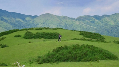 'Miniature Da Lat' is 100km from Hanoi, visitors come to hunt clouds and camp in the forest