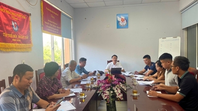 Deploying the 12th Nghe An Journalists Association Cup Football Tournament