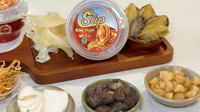 Đầu tiên tại Việt Nam: Yến Sào Sài Gòn ra mắt Súp mặn tổ yến bào ngư vi cá