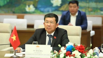 Thẩm tra Tờ trình của Thủ tướng về phê chuẩn bổ nhiệm đại sứ ở nước ngoài