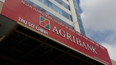 AGRIBANK CẬP NHẬT VÀ CẢNH BÁO CÁC THỦ ĐOẠN LỪA ĐẢO KHÁCH HÀNG