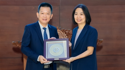 ភាគហ៊ុន MCM ត្រូវបានជួញដូរជាផ្លូវការនៅលើ HoSE