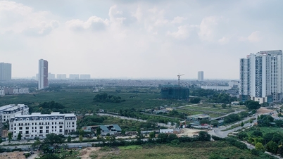 Từ 1/11/2024, quy định mức tỷ lệ phần trăm để tính đơn giá thuê đất