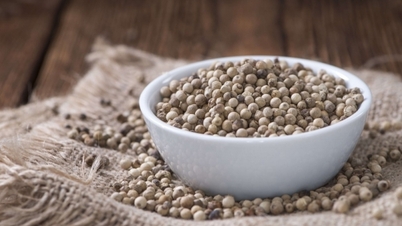 The market is rising, farmers are excited, expecting a bumper crop, good harvest, good price