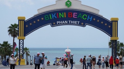 Lợi nhuận 6 tháng Novaland giảm sau kiểm toán do trích lập dự phòng