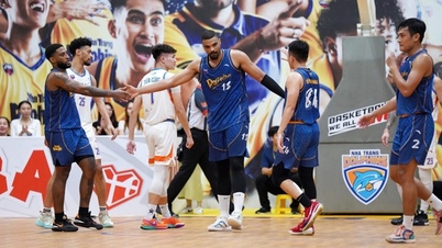 Nha Trang Dolphins create an unbeaten home record in VBA 2023