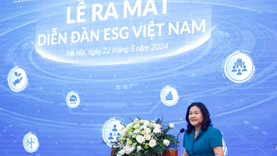 ESG đang trở thành xu hướng tất yếu trong hoạt động kinh doanh