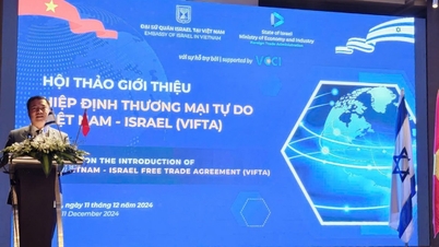 ដំណាក់កាលថ្មីក្នុងការជំរុញកិច្ចសហប្រតិបត្តិការសេដ្ឋកិច្ច និងពាណិជ្ជកម្មរវាងវៀតណាម និងអ៊ីស្រាអែល