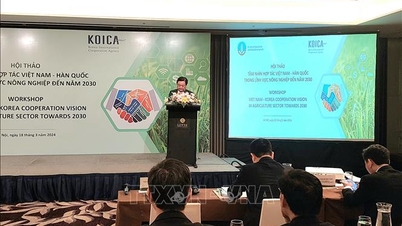 Việt Nam - Hàn Quốc hợp tác đầu tư và nâng cao chuỗi giá trị nông sản