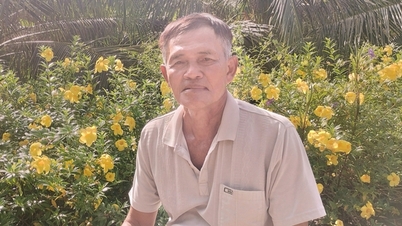 កសិករវ័យចំណាស់នៅ Ca Mau បរិច្ចាគដីផ្លូវរាប់ពាន់ម៉ែត្រការ៉េ ដើម្បីសាងសង់សាលារៀន