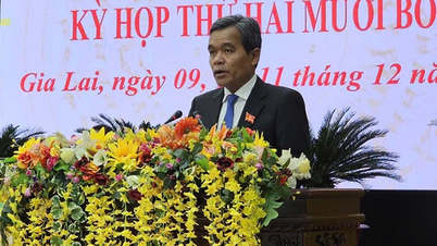 ザライ省は、人々の生活と省の発展の促進に関わる39の重要な決議を可決した。