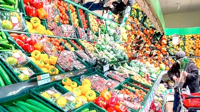 Trợ cấp nhà nước của Đức tăng kỷ lục