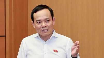 'Ông Chủ tịch Kiên Giang nói, em ký tịch thu cái tàu mà rơi nước mắt'