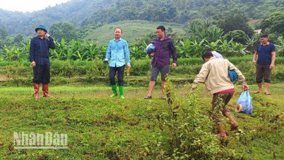 Sơn La tiếp tục di dời khẩn cấp nhiều hộ do nguy cơ sạt lở