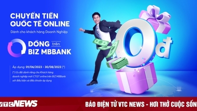 MB ការផ្ទេរប្រាក់អន្តរជាតិតាមអ៊ីនធឺណិតដោយឥតគិតថ្លៃនៅលើ BIZ MBBank