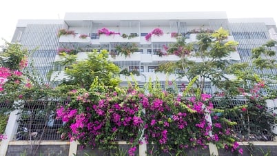 University building covered with flowers