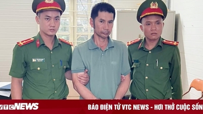 Bắt tạm giam trưởng bản hủy hoại rừng ở Sơn La