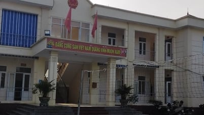 ប្រពន្ធ​មន្ត្រី​ភូមិបាល​ឃុំ​ថាញ​ហ្វា បាន​ប្តឹង​ប្តី​គាត់​ពី​បទ​មាន​កូន​មិន​ស្រប​ច្បាប់។