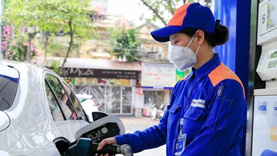តម្លៃសាំងថ្ងៃនេះ ថ្ងៃទី 17 ខែមេសា ឆ្នាំ 2024៖ ពិភពលោកឡើងថ្លៃ ក្នុងស្រុកអាចនឹងលាយឡំ