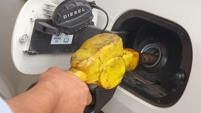 Nghị định kinh doanh xăng dầu chậm sửa đổi, doanh nghiệp bán lẻ xin gặp Thủ tướng