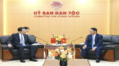 Bộ trưởng, Chủ nhiệm Ủy ban Dân tộc Hầu A Lềnh tiếp Đại sứ Trung Quốc tại Việt Nam