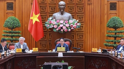 Phiên họp lần thứ 7 Ban Chỉ đạo tinh gọn bộ máy của Chính phủ
