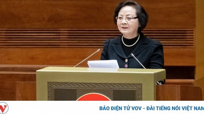 By 2025, building a streamlined and effective Hai Phong urban government
