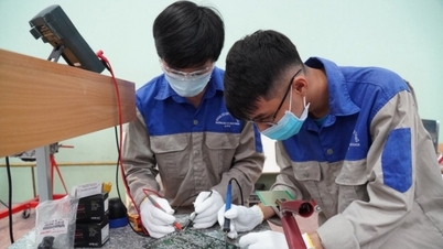 រៀបចំវិស្វករវៀតណាម "ទៅសមុទ្រធំ"