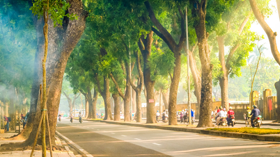 Famous British newspaper introduces 12 most beautiful destinations in Vietnam
