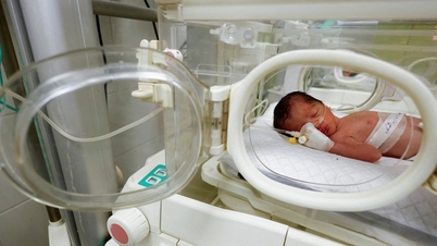 Em bé chào đời sau khi người mẹ thiệt mạng ở Gaza