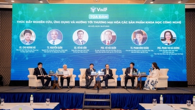 VINIF – Hành trình 5 năm thúc đẩy phát triển nghiên cứu khoa học Việt Nam