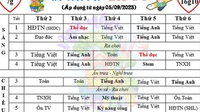 กรมการศึกษาและฝึกอบรมนครโฮจิมินห์ว่าอย่างไร?