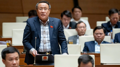 "No country has imposed two taxes on gasoline at the same time like Vietnam."