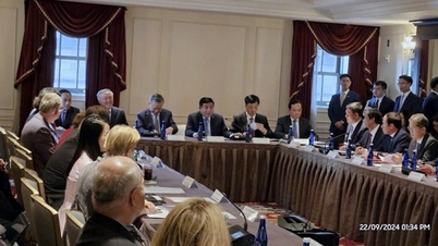 US investment fund TPG optimistic about digital transformation in Vietnam