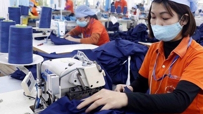 General Department of Taxation talks about temporary deduction of 10% personal income tax for unemployment benefits