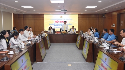 Công đoàn Tổng công ty Bưu điện Việt Nam tổ chức Hội nghị Ban chấp hành lần thứ 3 khóa IV, nhiệm kỳ 2023-2028