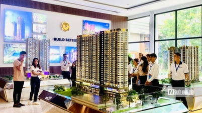 เหตุใดราคาอพาร์ทเมนท์ในนครโฮจิมินห์จึงผันผวนมาก?