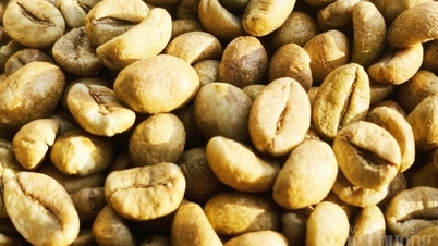Giá cà phê trong nước vượt mốc 93.000 đồng/kg