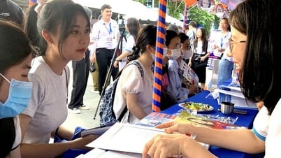 Học phí mới của các trường thành viên ĐH Quốc gia TP.HCM ra sao?