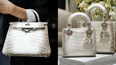 Truong My Lan 여사가 요청한 Hermès 가방과 유사한 매우 희귀한 악어 가죽 디자인 시리즈