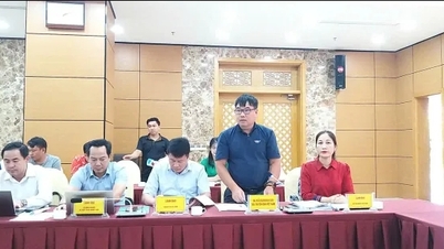 Vietnam Television cooperates with Quang Ninh province to inform about the ABU Robocon 2024 Final Round