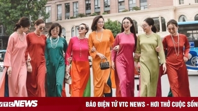 12 con giáp nên mặc áo dài màu gì trong ngày Tết Giáp Thìn 2024?