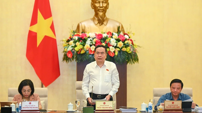 Hoàn thiện các dự thảo luật bảo đảm tính khả thi, đáp ứng yêu cầu thực tiễn