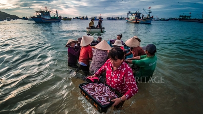 Vitality in the ancient fishing village of Nhon Ly