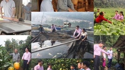 Directive No. 40-CT/TW: The Party's extended "arm" in sustainable poverty reduction (Part 1)
