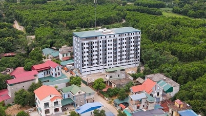 តើអ្នកណាជាអ្នកទទួលខុសត្រូវ?