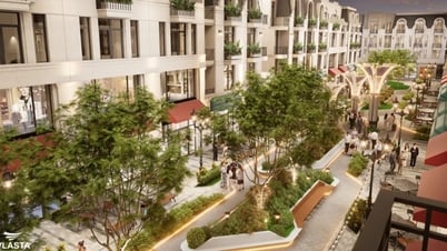 Van Phu - Invest នាំយកផលិតផល Vlasta ទៅ Hai Phong
