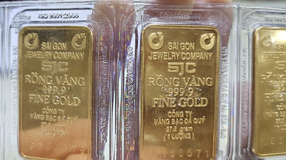 Giá vàng miếng SJC, vàng nhẫn lại tăng mạnh trong sáng 12-12
