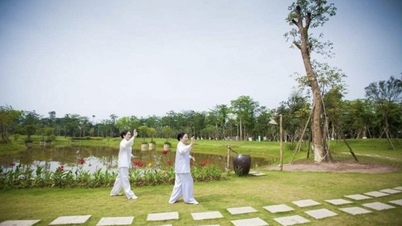 Sôi nổi các hoạt động tại